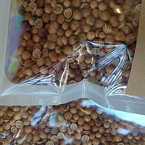 Coriander seeds ( whole) - Picture 2 of 3